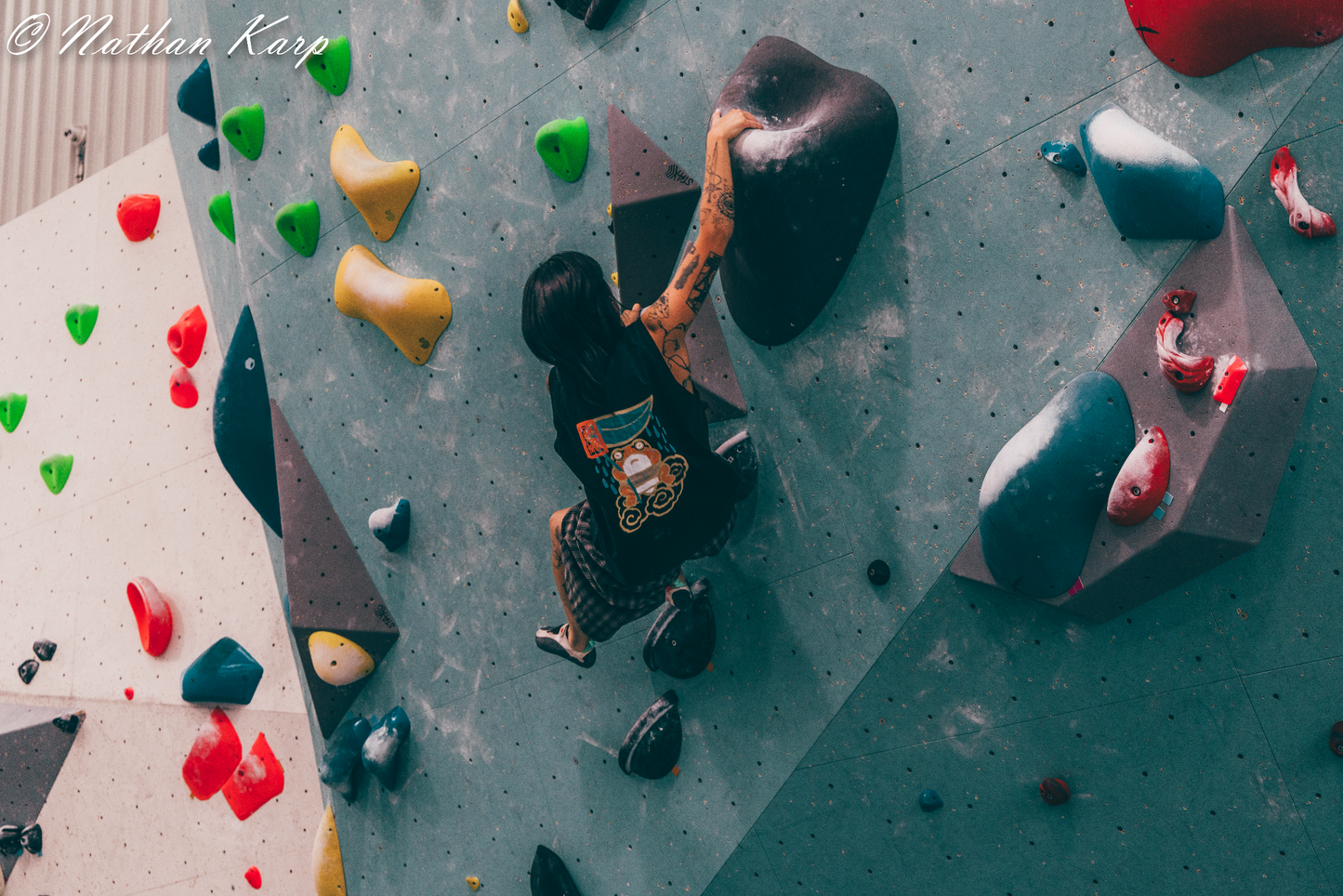 Frog in the Rain - Sorona Tank