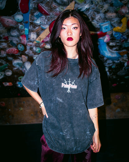 Cranes in the Sun - Oversized Washed Tee