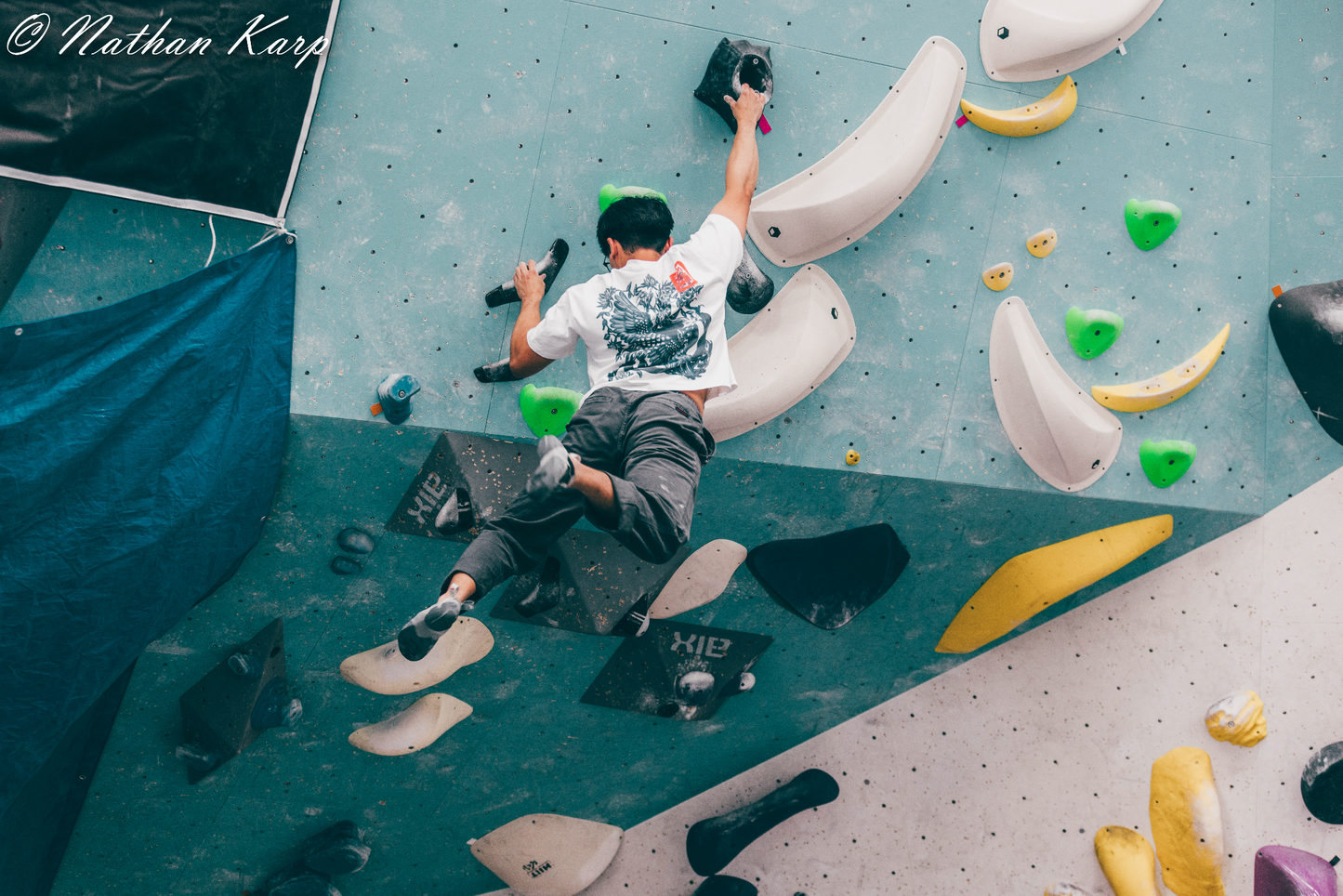 Phoenix and Dragon (Chinese Pottery) - Boxy Tee