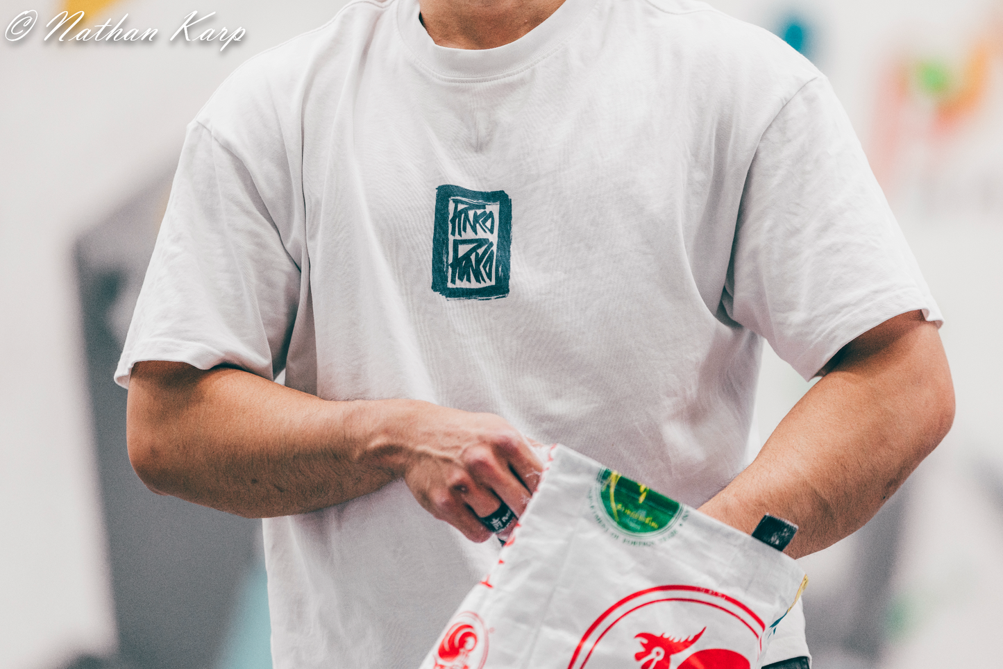 Phoenix and Dragon (Chinese Pottery) - Boxy Tee