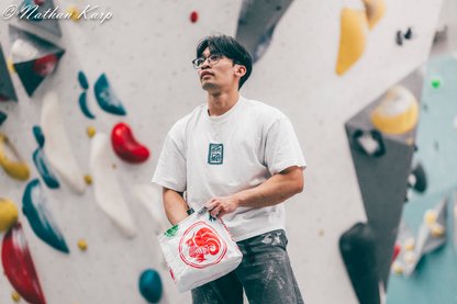 Phoenix and Dragon (Chinese Pottery) - Boxy Tee